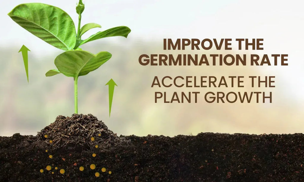 Soil Activator: Plants' Best Friend - Rejuvenate Your Plants ( BUY 1 GET 1 FREE )+ PLANT GROWTH BOOST LIQUID